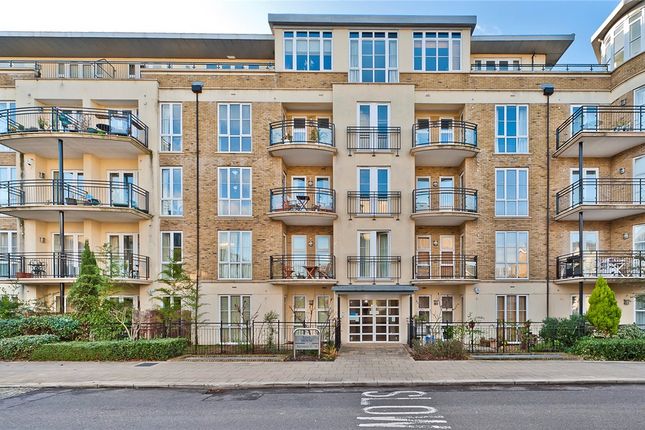 1 bed flat