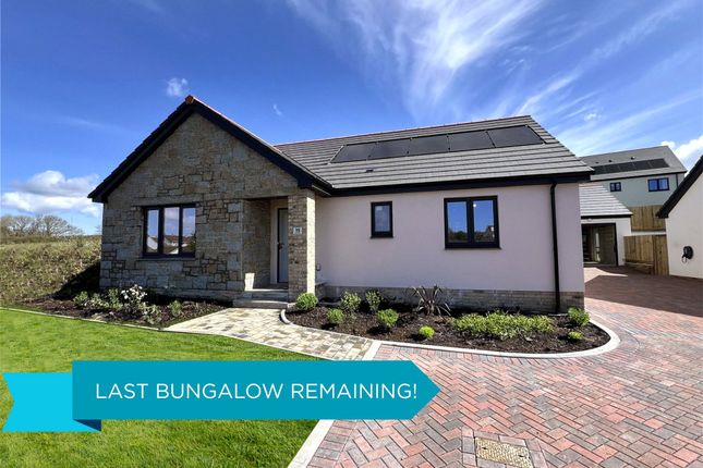 3 bed bungalow