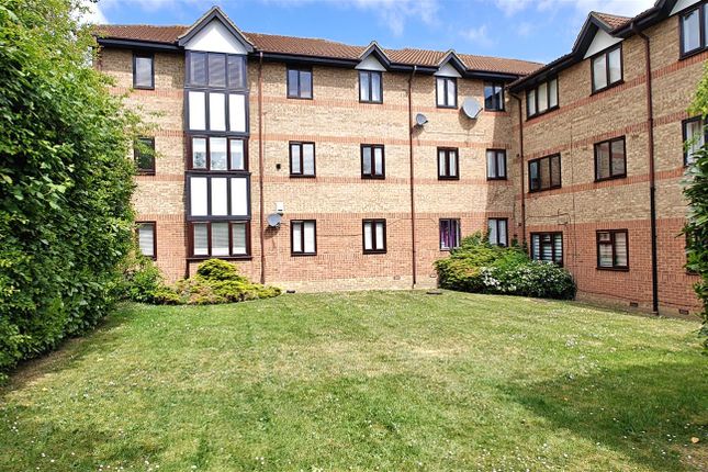 1 bed flat