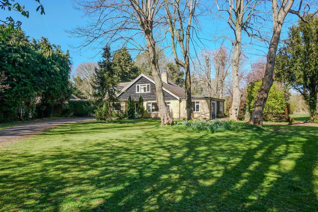 Court Drive, Shillingford OX10 5 bed detached house for sale