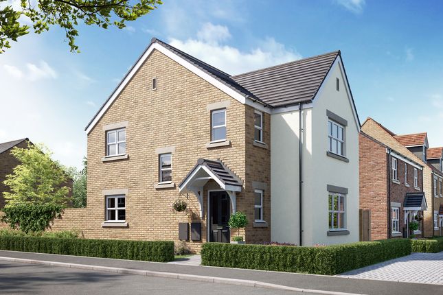3 bed detached house