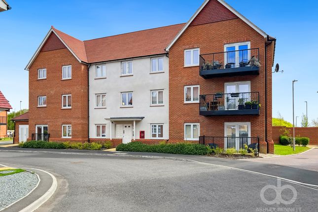 1 bed flat