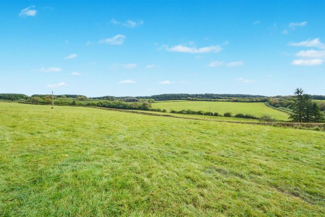Land for sale