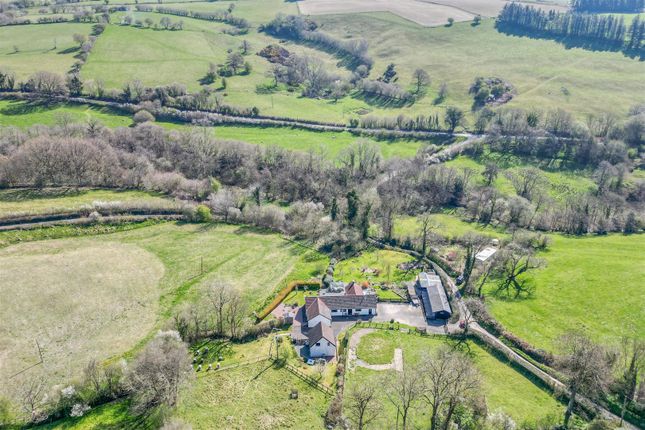 Equestrian facility for sale
