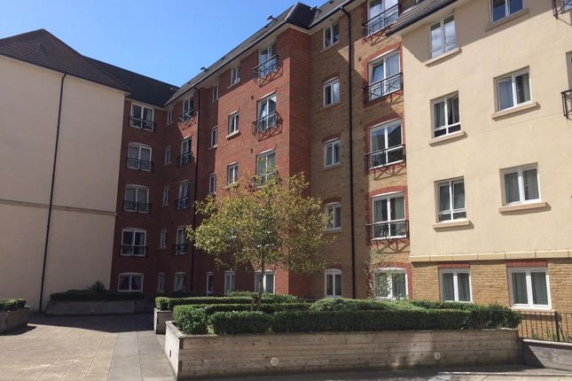 1 bed flat