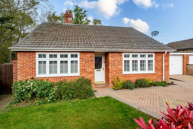 Roedich Drive, Taverham 4 bed detached bungalow for sale