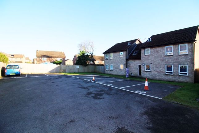 1 bed flat