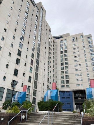 1 bed flat