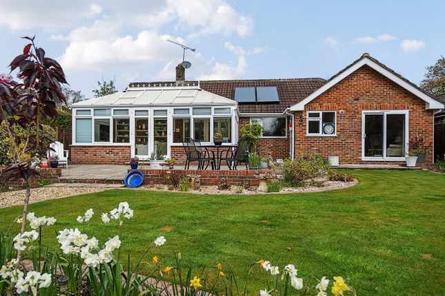 Abbey Road, Medstead, Alton... 3 bed bungalow for sale