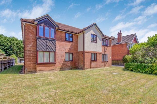 1 bed flat