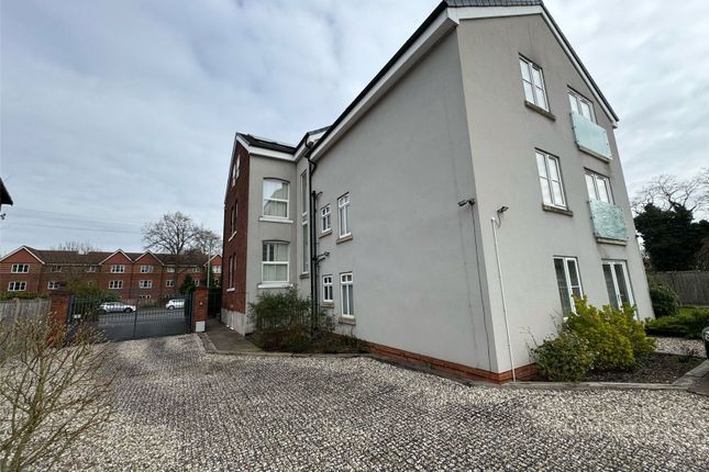 1 bed flat