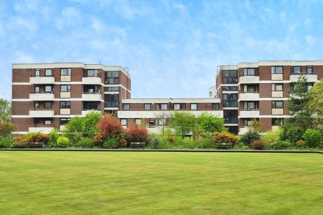 1 bed flat