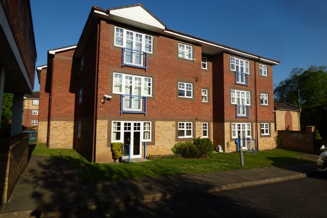1 bed flat