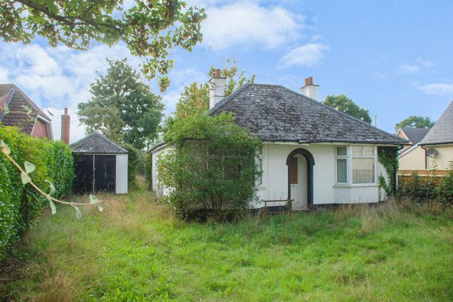 West Road, Bransgore, Christchurch, BH23 2 bed bungalow for sale