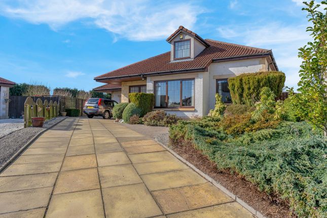 5 bed detached house