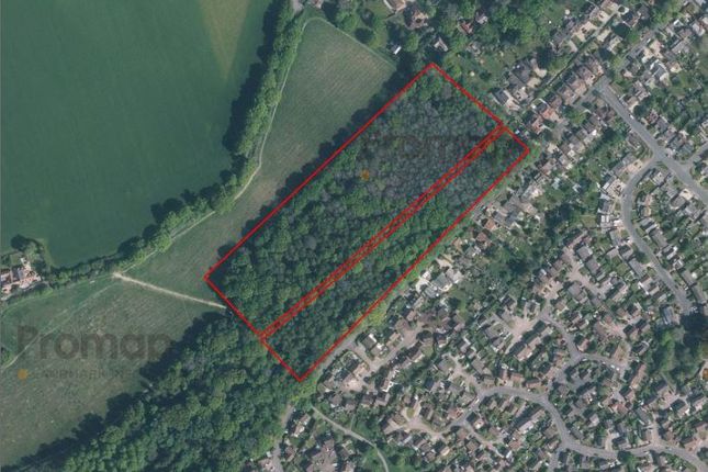 Camellia Way, Wokingham Land for sale