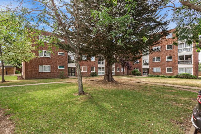 2 bed flat