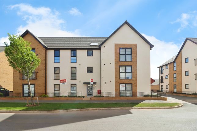 1 bed flat