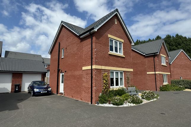 Calm Water Close, Dawlish, EX7 3 bed detached house for sale