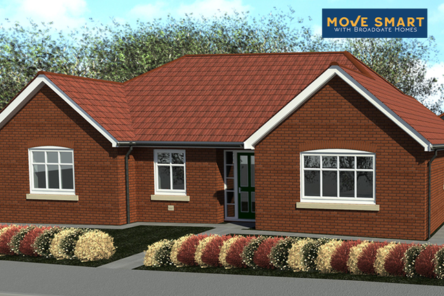3 bed detached bungalow
