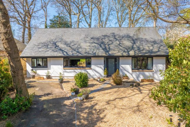 Youngwoods Way, Alverstone Garden... 3 bed detached bungalow for sale
