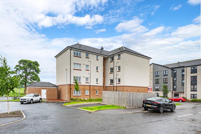 1 bed flat