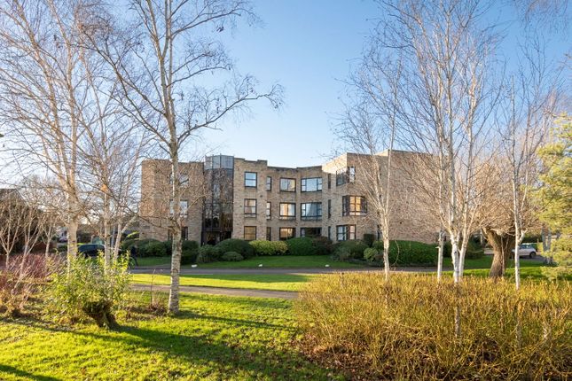2 bed flat