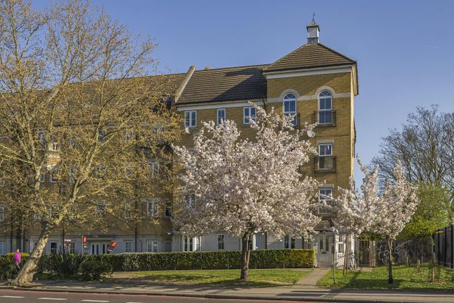 1 bed flat