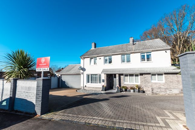 6 bed semi-detached house