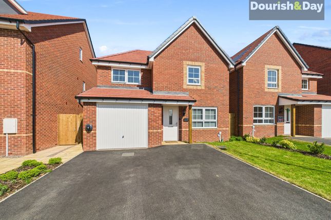 Cardamine Parade, Stafford ST16 3 bed detached house for sale