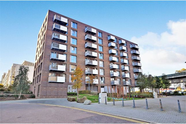 1 bed flat