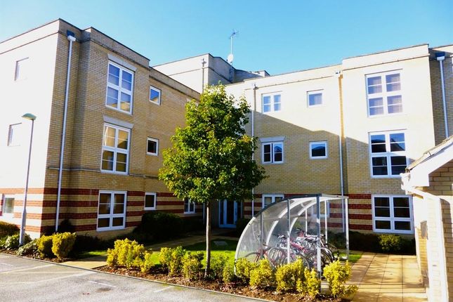 2 bed flat