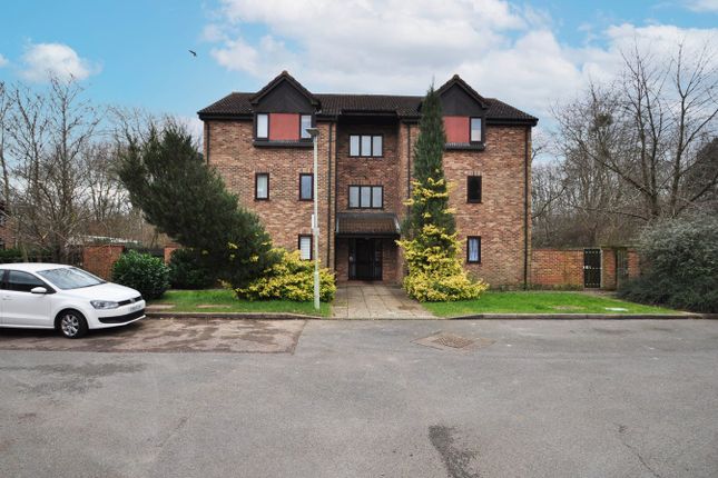 1 bed flat