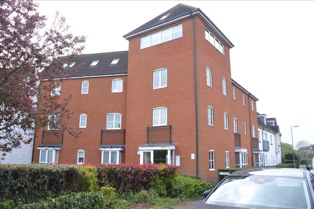 3 bed flat