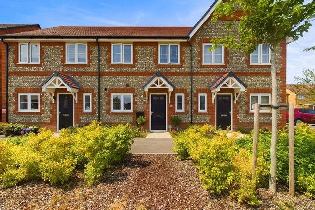 Speckled Wood Walk 3 bed terraced house for sale