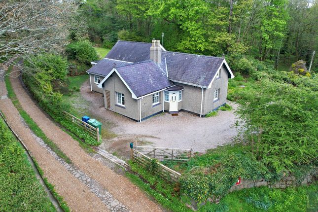5 bed leisure/hospitality