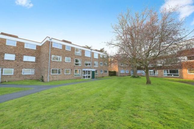 3 bed flat