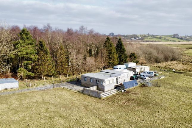Blaenpennal, Aberystwyth Smallholding for sale