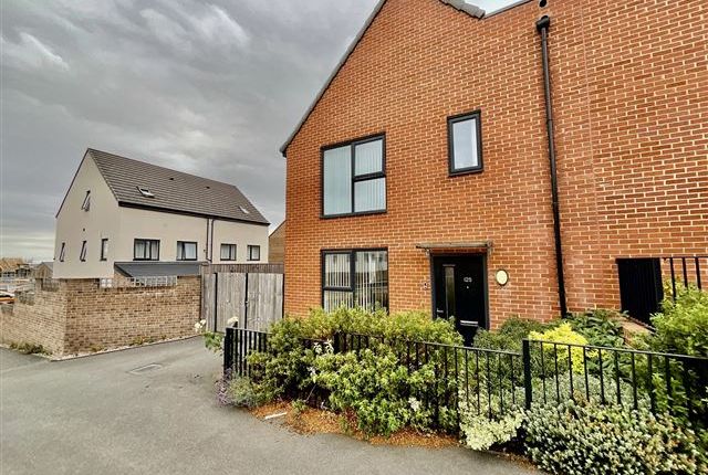 Harborough Avenue, Sheffield, S2 1QQ 4 bed semi