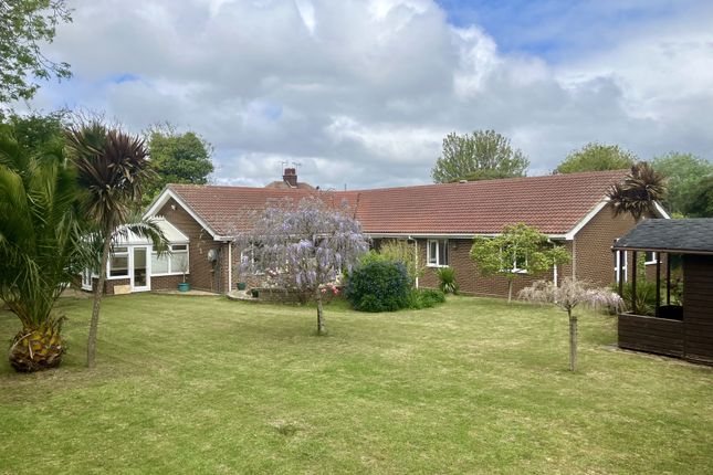 6 bed bungalow