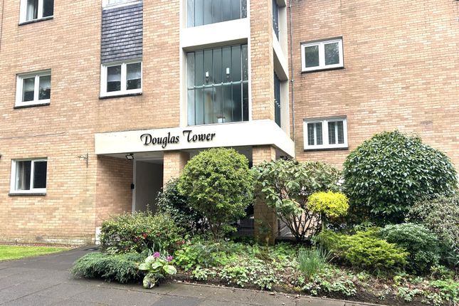 1 bed flat