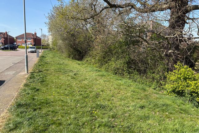 Plot for sale