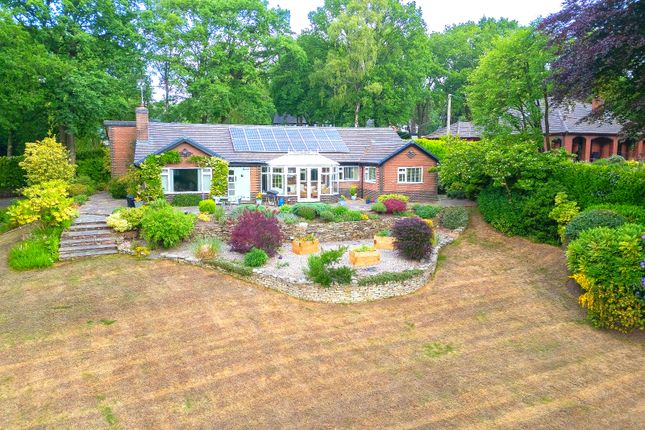 Pinewood Road, Market Drayton TF9 4 bed bungalow for sale