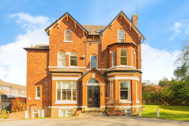 1 bed flat