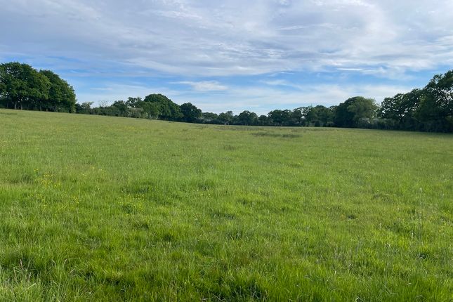 Land for sale