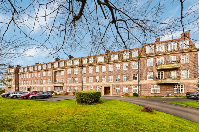 1 bed flat