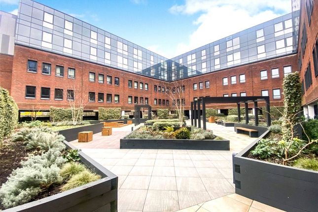 1 bed flat