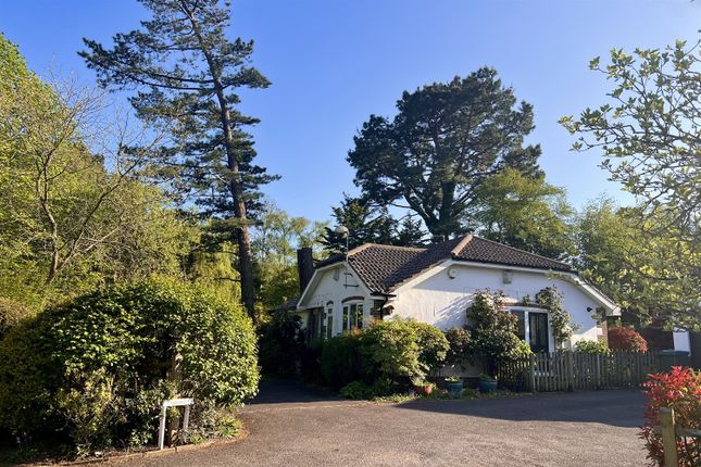Melrose Place, Storrington, West... 3 bed detached bungalow for sale