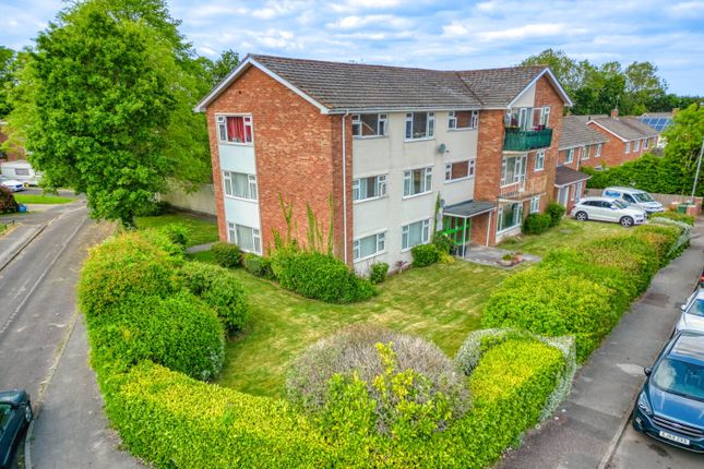 1 bed flat