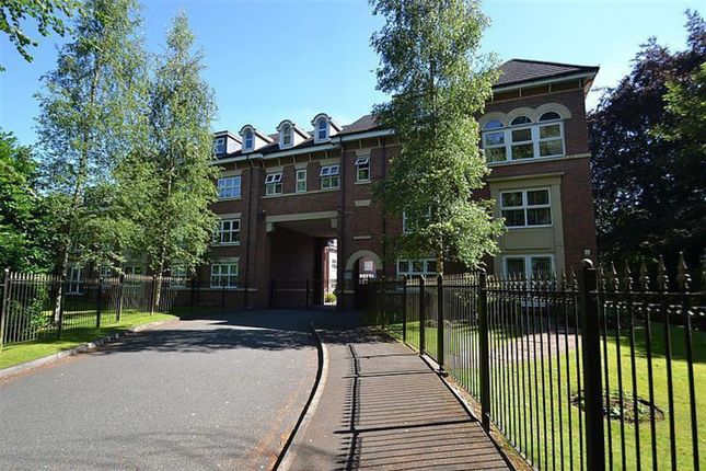 1 bed flat